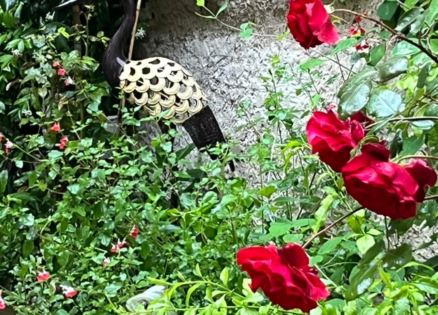 Le Clos D'Orange - Hotel & Ville De Provence